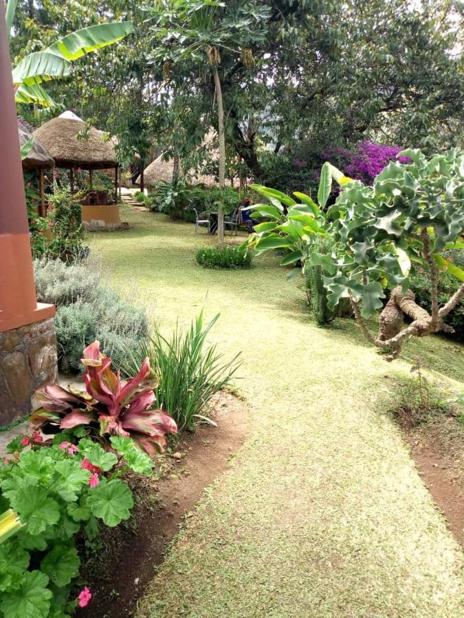 Nyore Hillside Retreat Mbarara Exterior photo